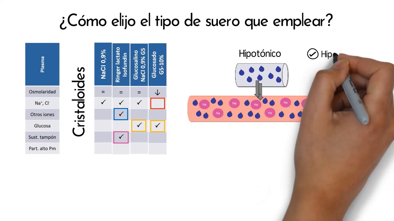 Fluidoterapia perianestésica