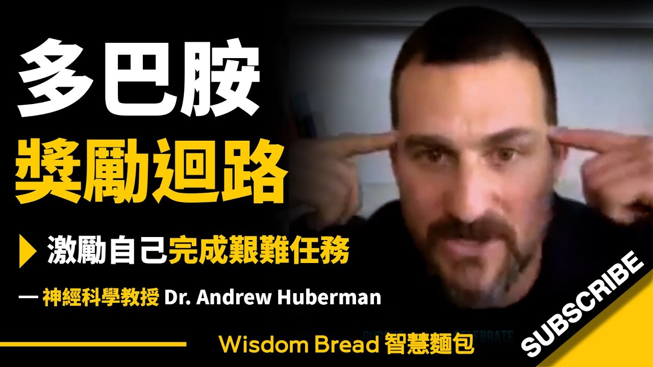如何利用「多巴胺獎勵迴路」激勵自己完成艱難任務？ ► 史丹佛神經科學教授：關鍵在於這個小舉動 - Dr. Andrew Huberman （中英字幕）