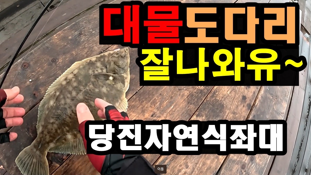이걸 바다에 푼다고요?