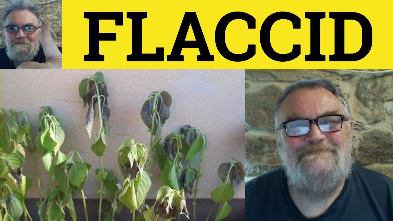 🔵 Flaccid Meaning - Flaccid Examples - Flaccid Defined - Literary Vocabulary - Flaccid