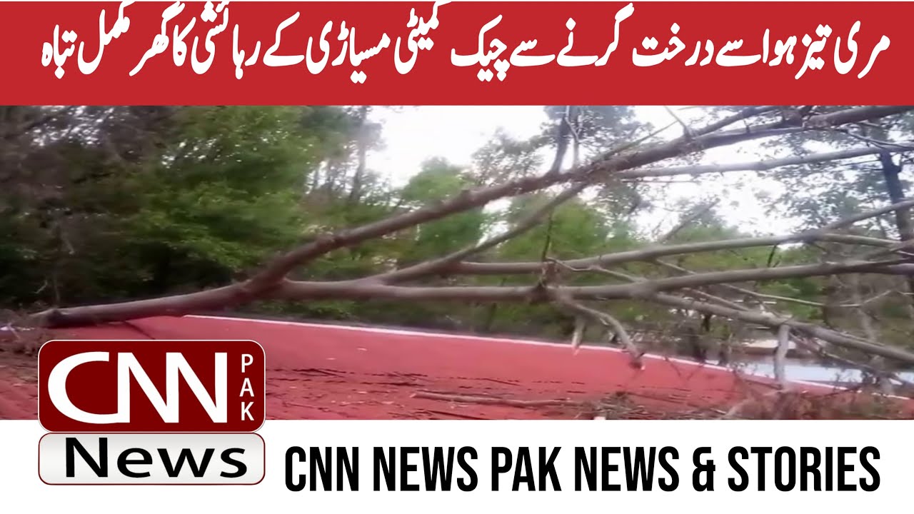 Murree Tree falls in strong winds, house of resident of Check Committee Misiari completely destroyed