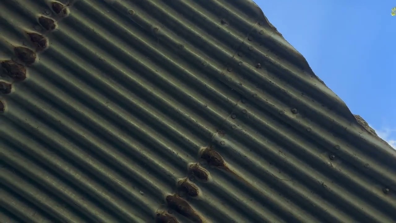 paddleboarding under bridge asmr