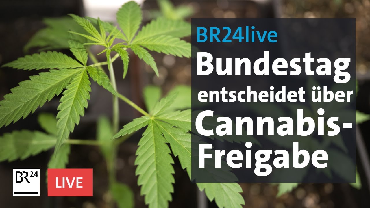 Bundestag entscheidet über Cannabis-Freigabe | BR24live