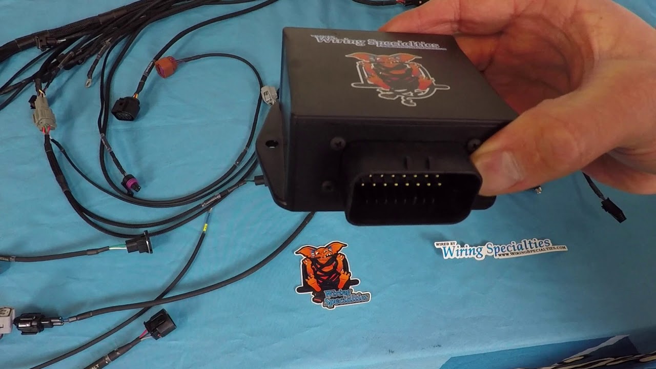 Wiring Specialties - BMW E46 Pro Series CANBUS Engine Harness
