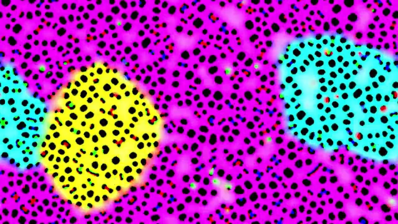 reaction diffusion experiment random kernels 01 prs 101   competing regions with patterns