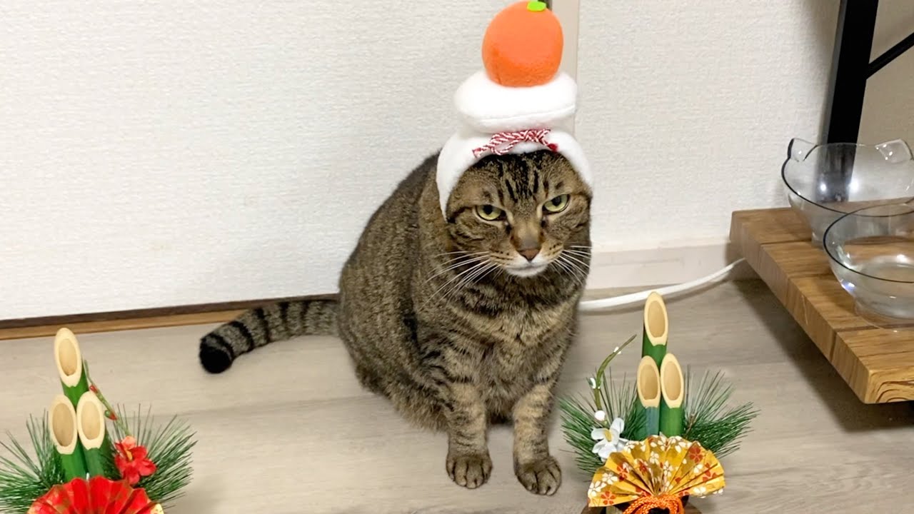 あけましておめでとうございます