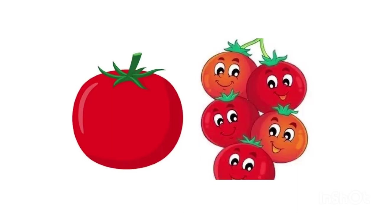 5 ноября 2025 г.