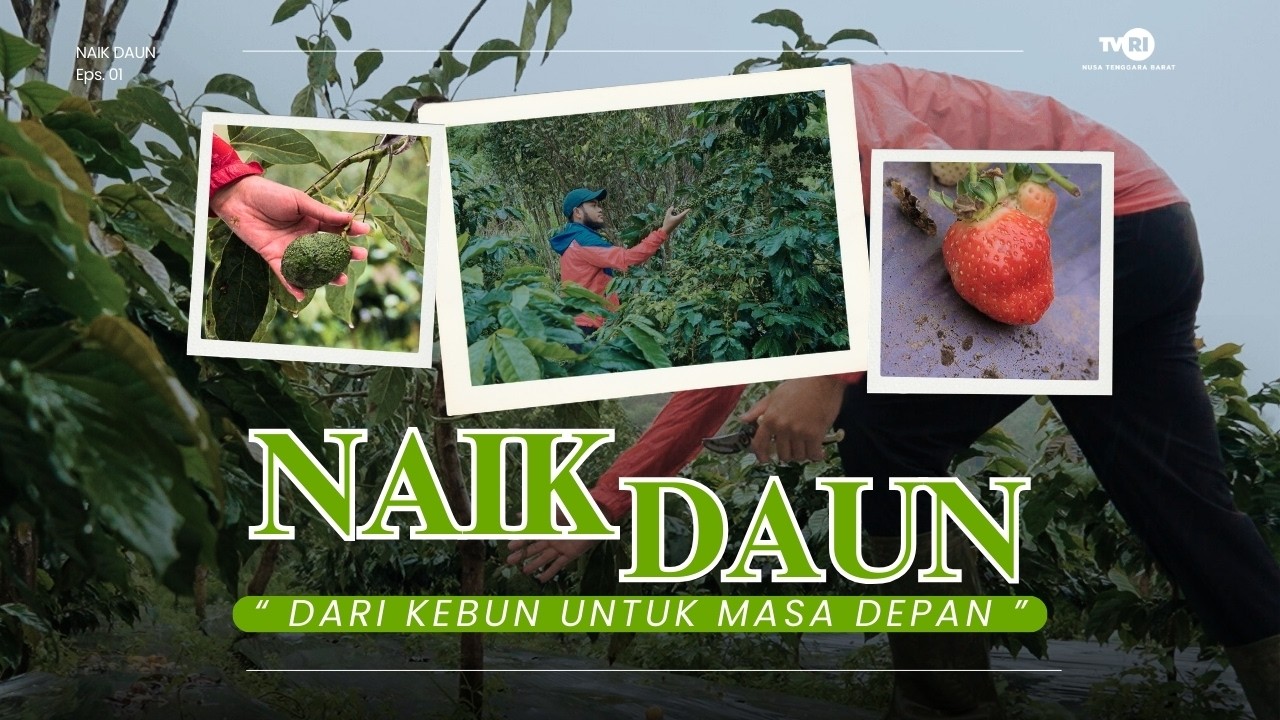 Naik Daun Eps. 01 - Dari Kebun Ke Masa Depan
