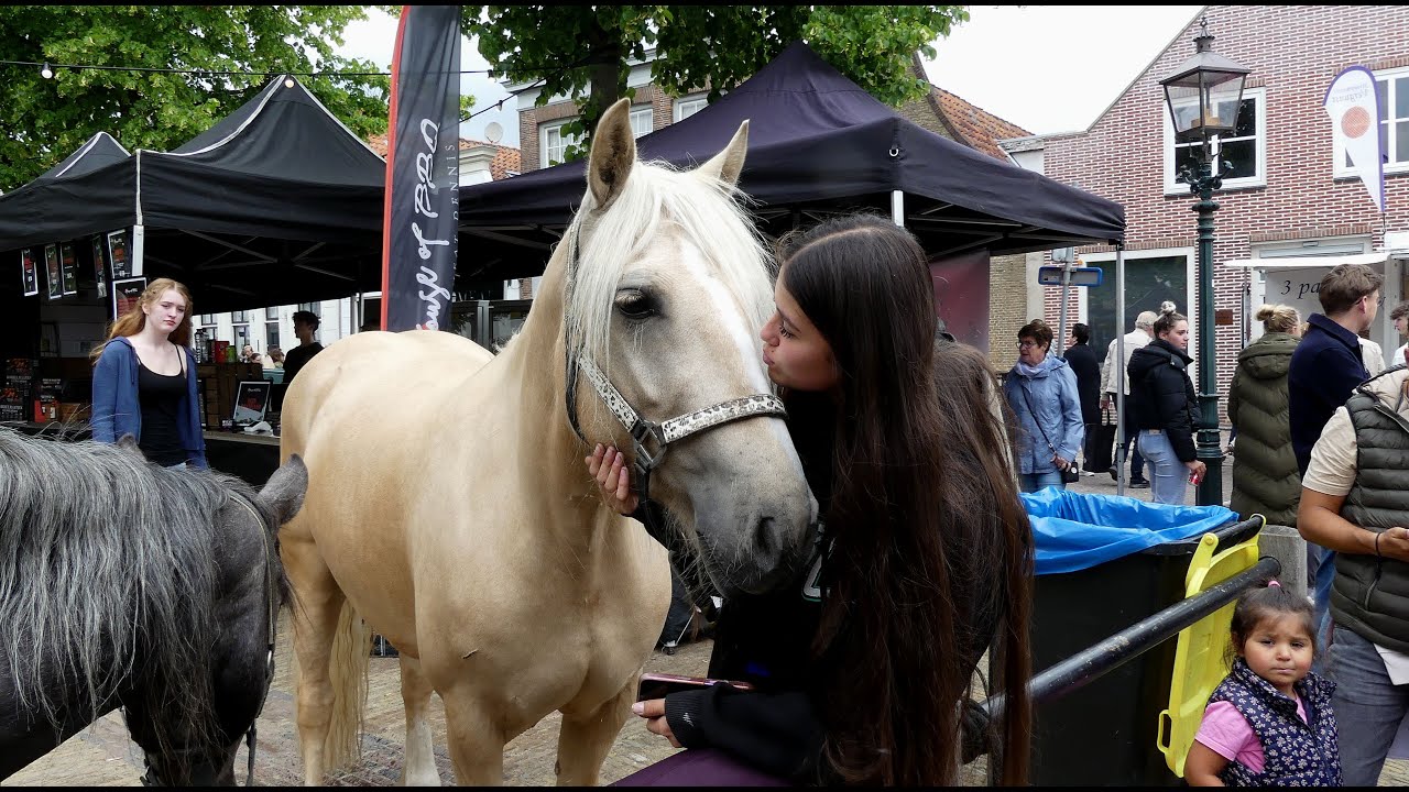 Roel neemt een kijkje - Paardenmarkt Heenvliet 2e Pinksterdag / Nissewaard 2025