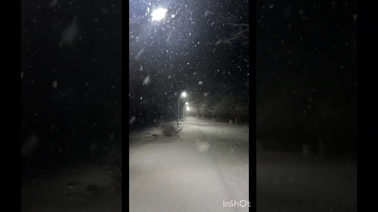 Ninge