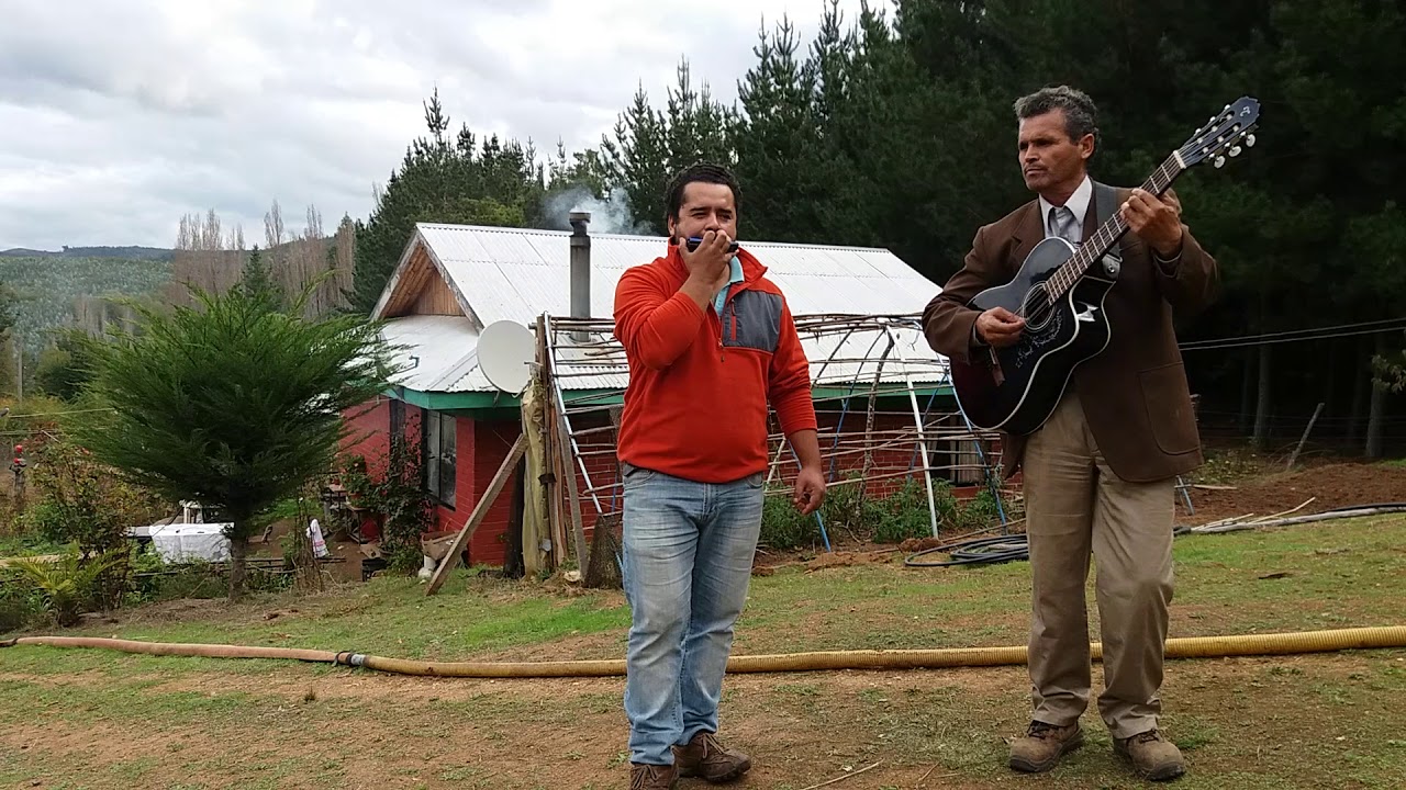 Guitarra y armonica