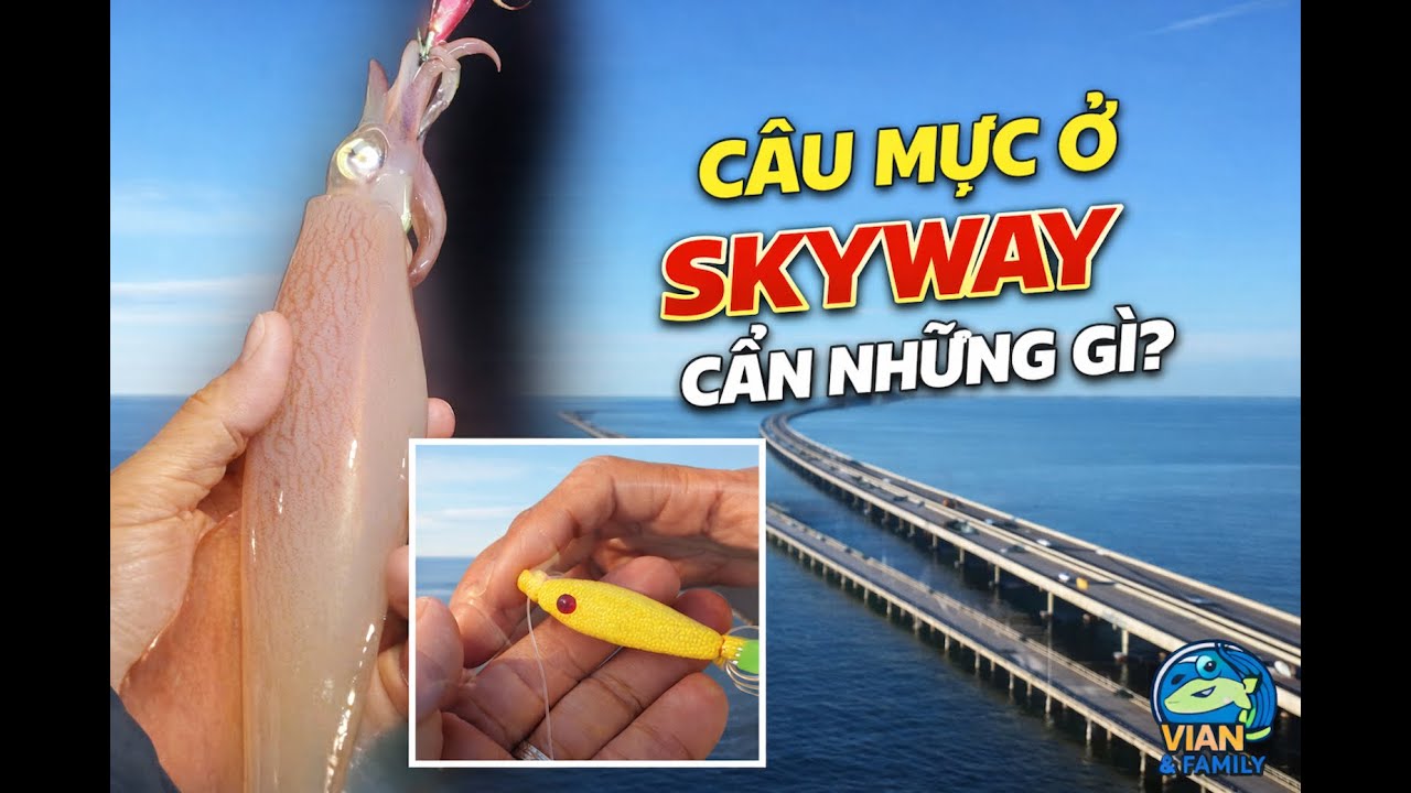 CẦN CÓ NHỮNG GÌ ĐỂ CÂU MỰC Ở SKYWAY - Night Squid Fishing at Skyway Fishing Pier, Florida