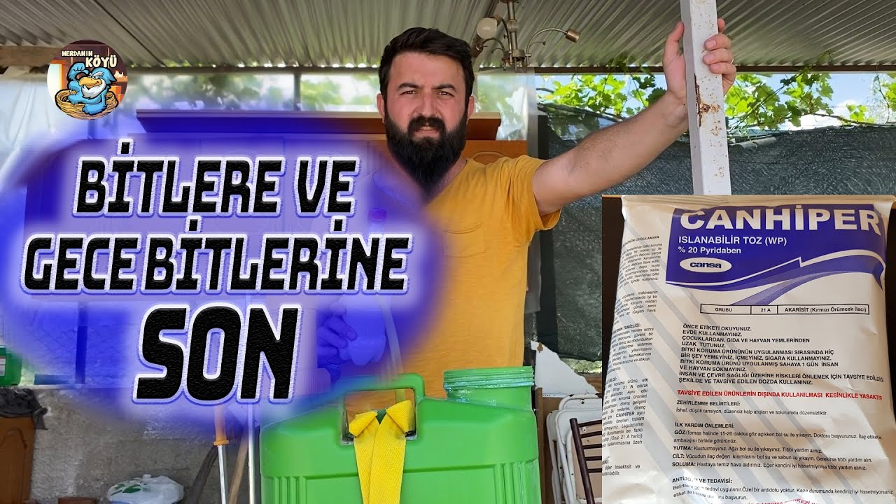 Bitlere Kesin Çözüm   Bit Yüzünden Ölümlere Son