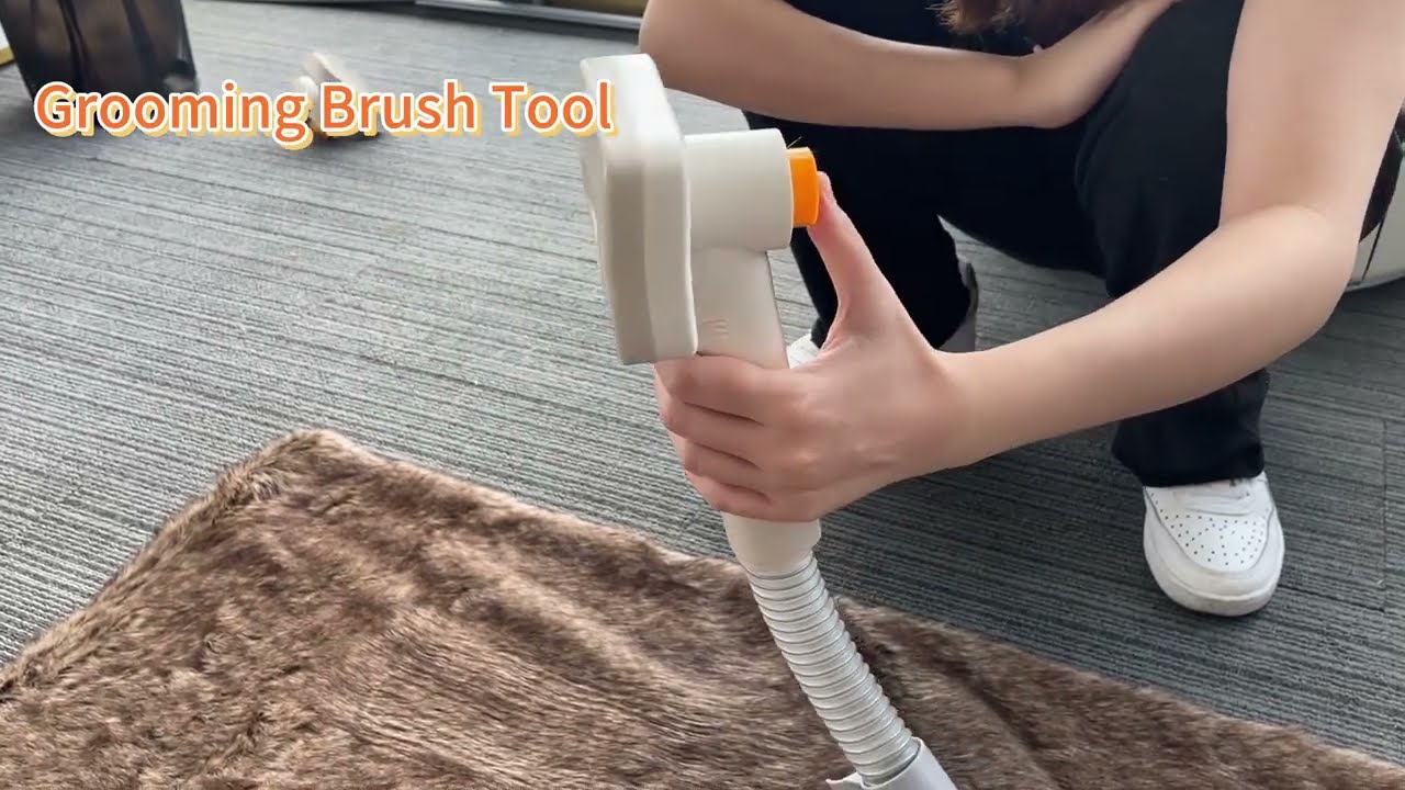 How to use PalFur IN01 to groom your dog? Watch this instructional video now!