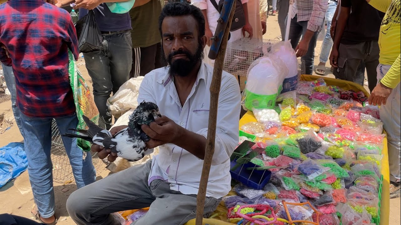 jama masjid kabootar market delhi 02/06/2024 kabutar market Delhi white pigeons