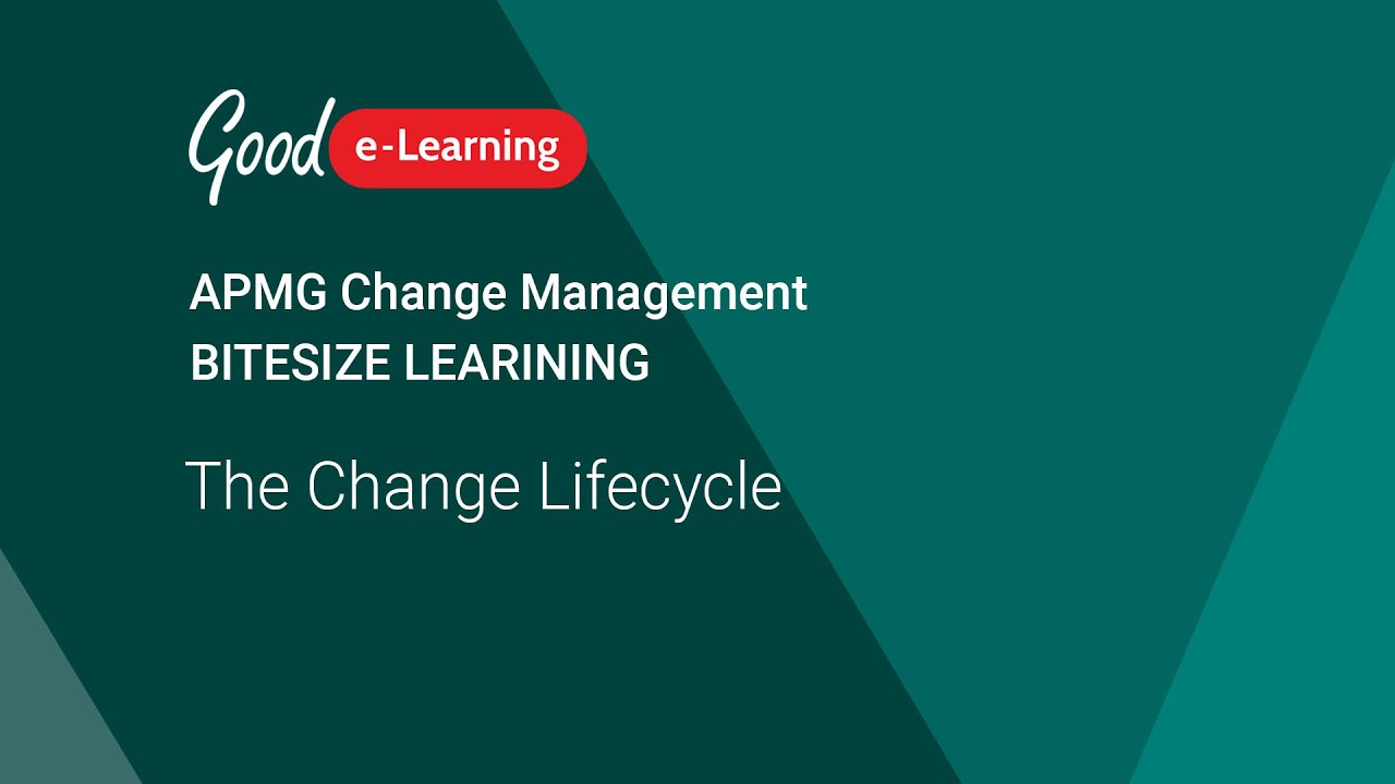 Change Management: The Change Lifecycle (APMG Change Management)