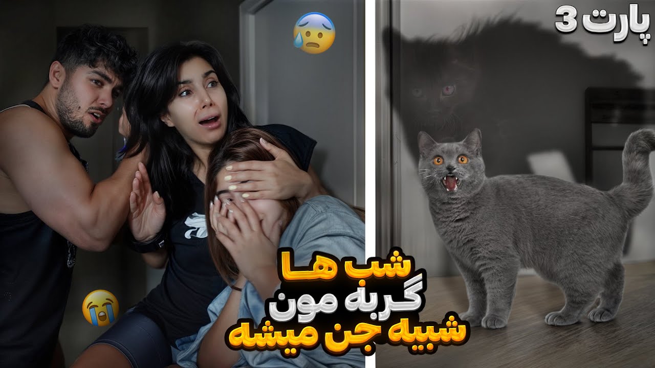 شب ها خونمون و گربمون شبیه جن میشه ، پارت سوم