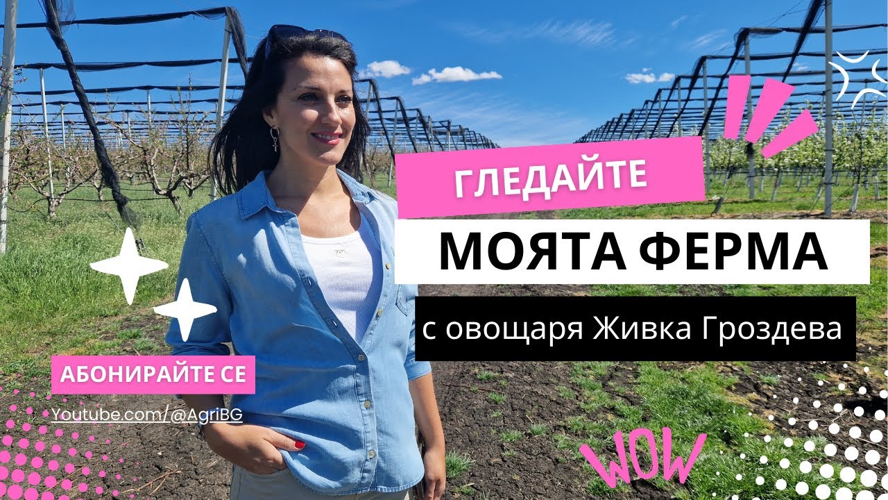 Моята ферма с овощаря Живка Гроздева