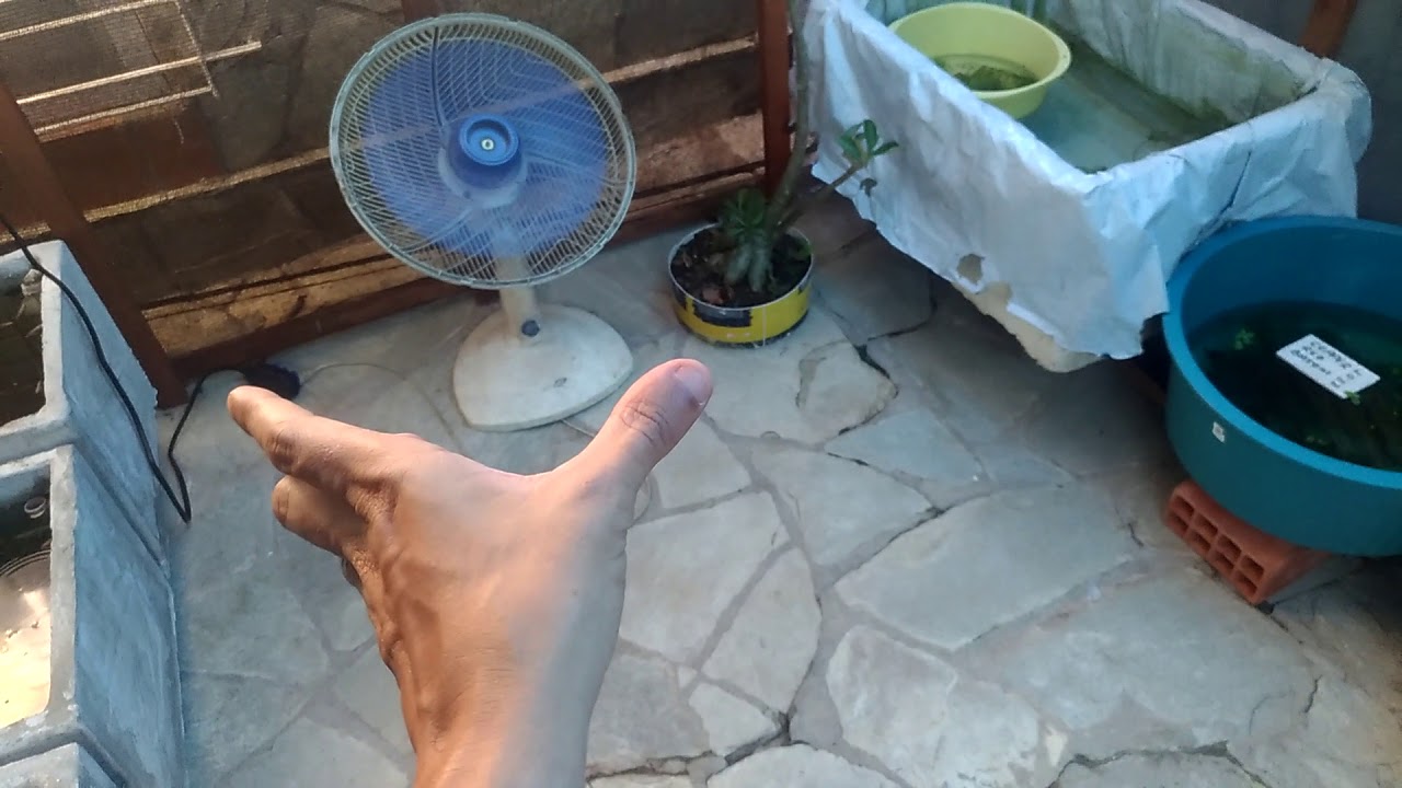 Estufa das Bettas finalizadas .