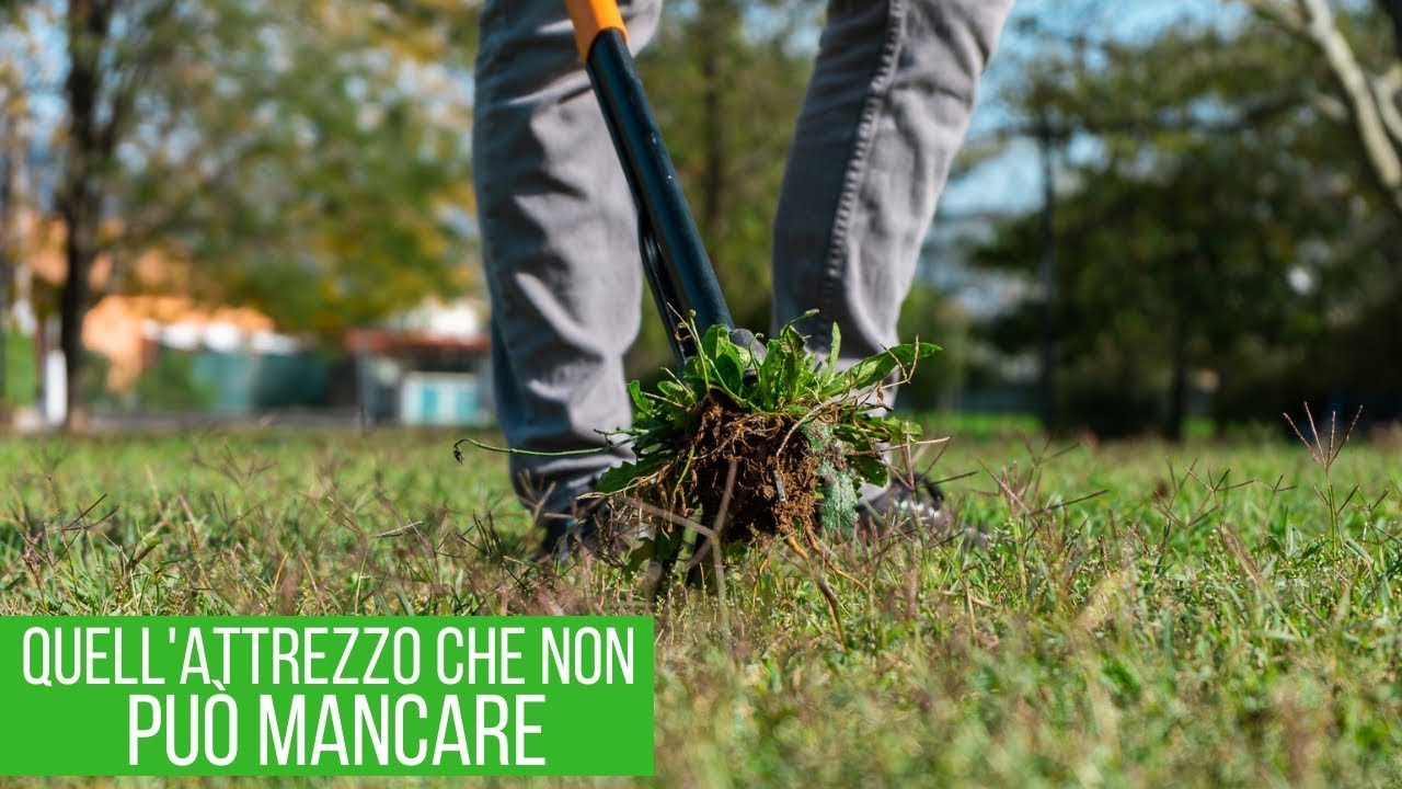 TOGLIERE le ERBACCE dal PRATO senza CHINARSI