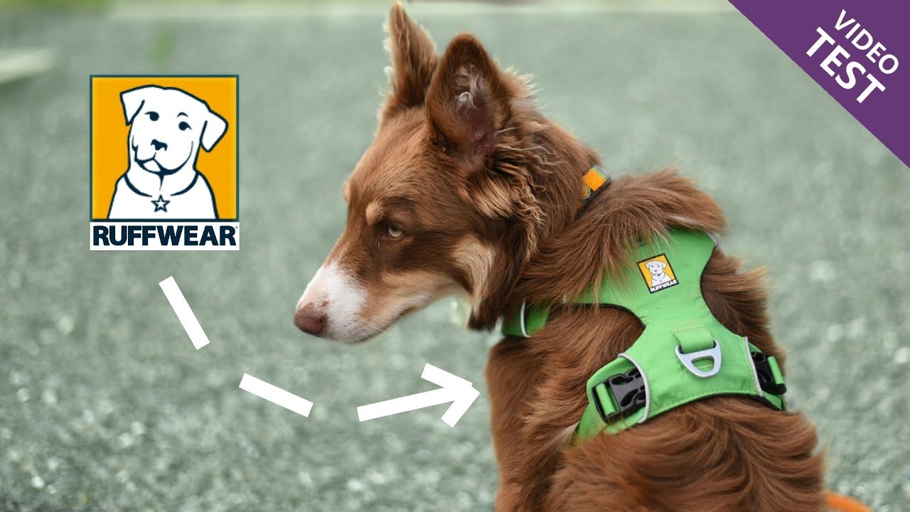 Test des harnais RUFFWEAR !