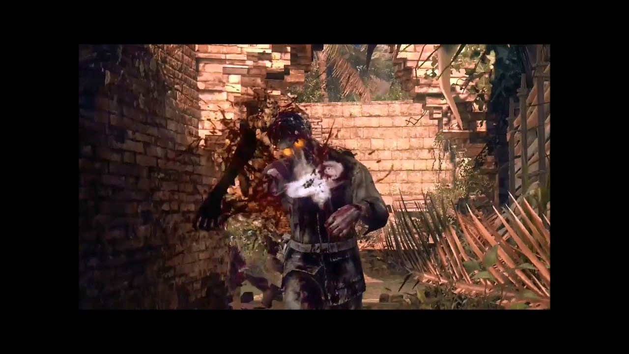 Call of Duty Zombies- Monster 