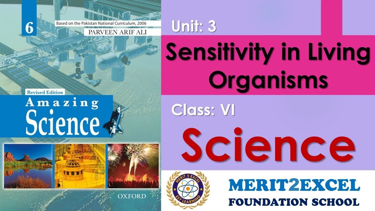 Sensitivity in Living Organisms – Science IV | HW17 - Class 6 - Unit 3 | Oxford | M.E School