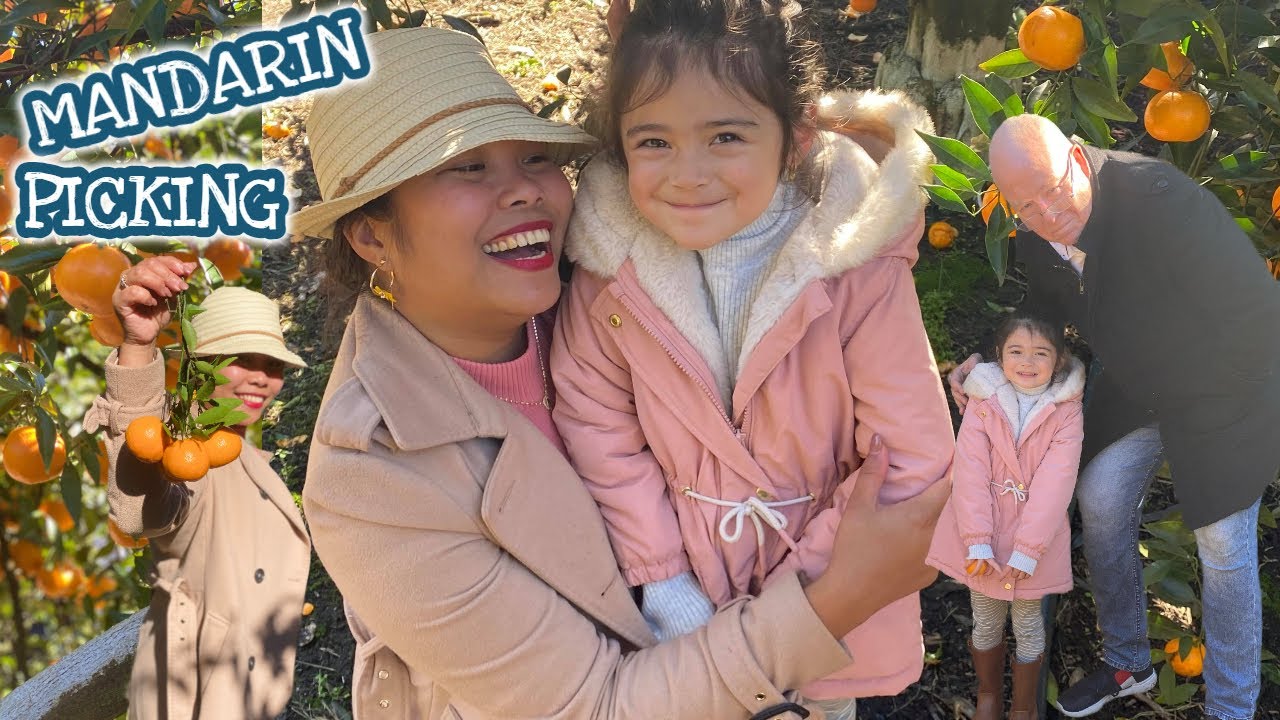 MANDARIN PICKING WITH BEAUTIFUL BRIDGET | ATE BRIDGET ENJOYED THE MANDARIN PICKING