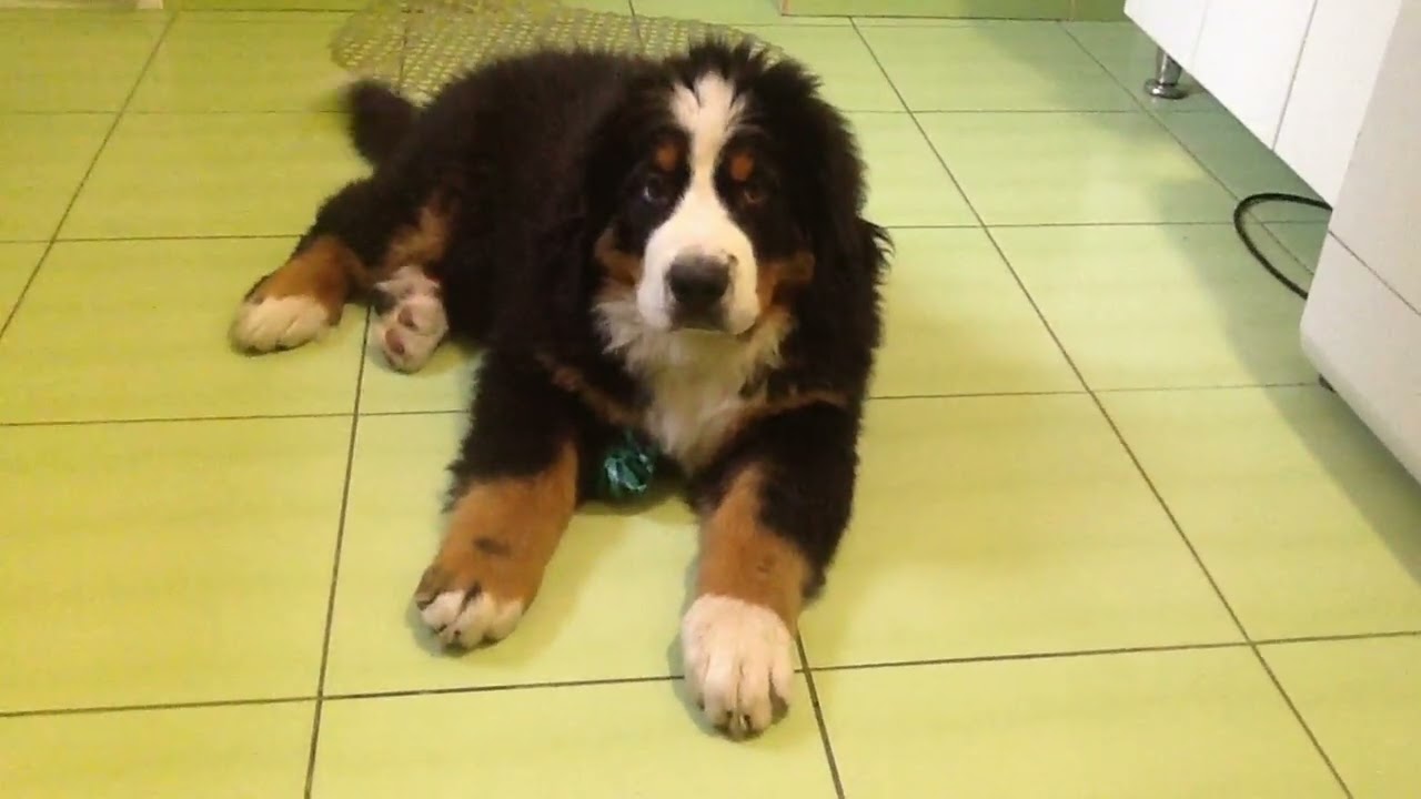 They Grow Up So Fast