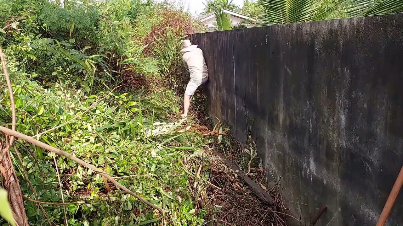 Bushwhacking along the wall. Thailand