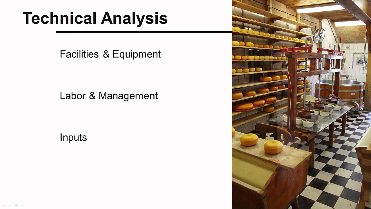 Feasibility Study