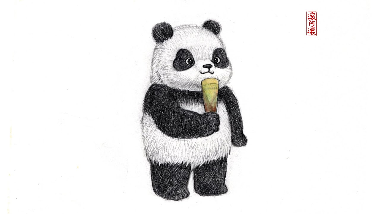 Challenge to draw panda Day 80｜pencil sketch