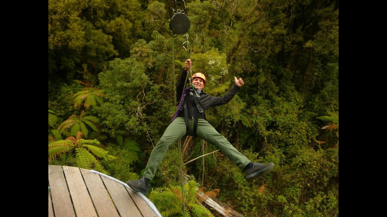 Ziplining Forest Experience - The Ultimate Canopy Tour Rotorua