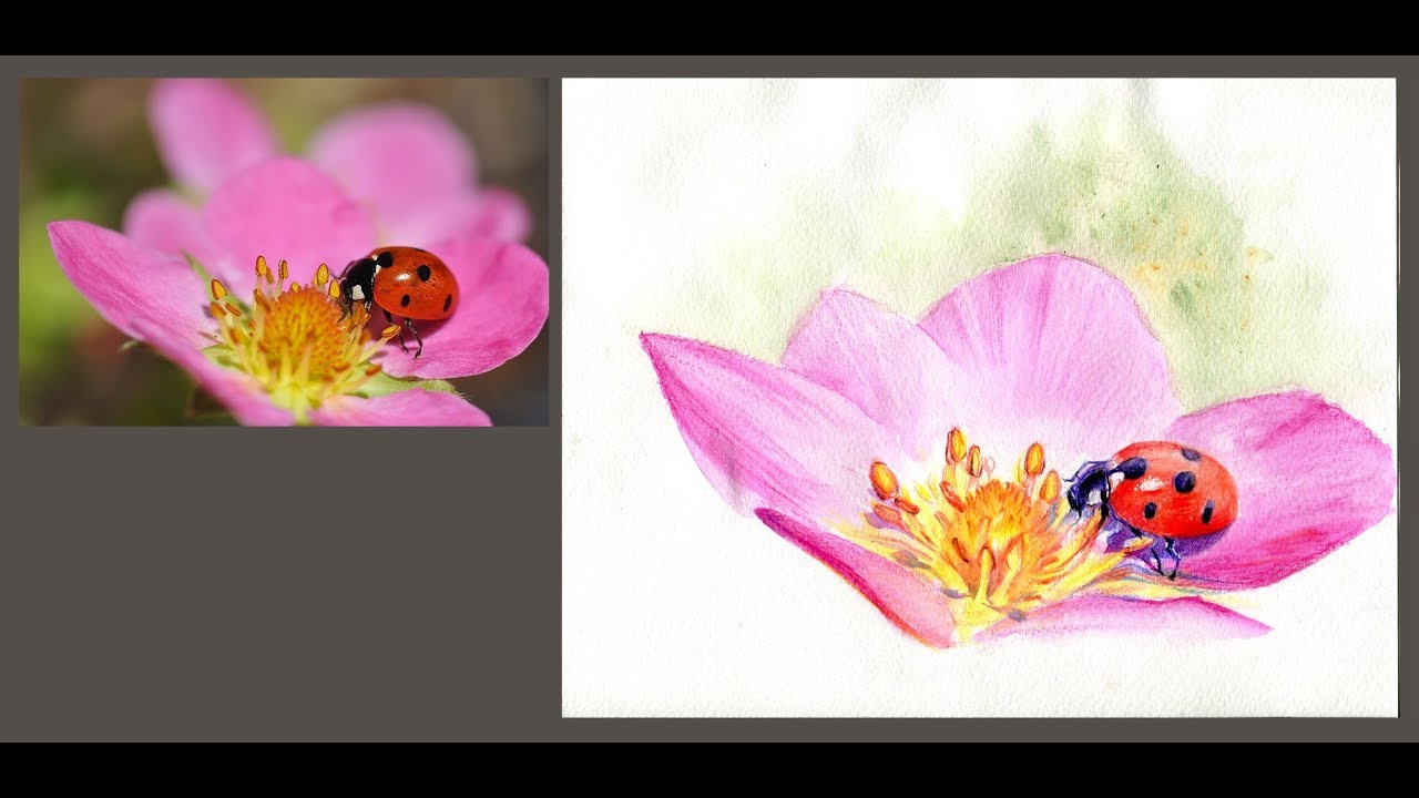 水性色鉛筆素描示範《瓢蟲》- 王文詵