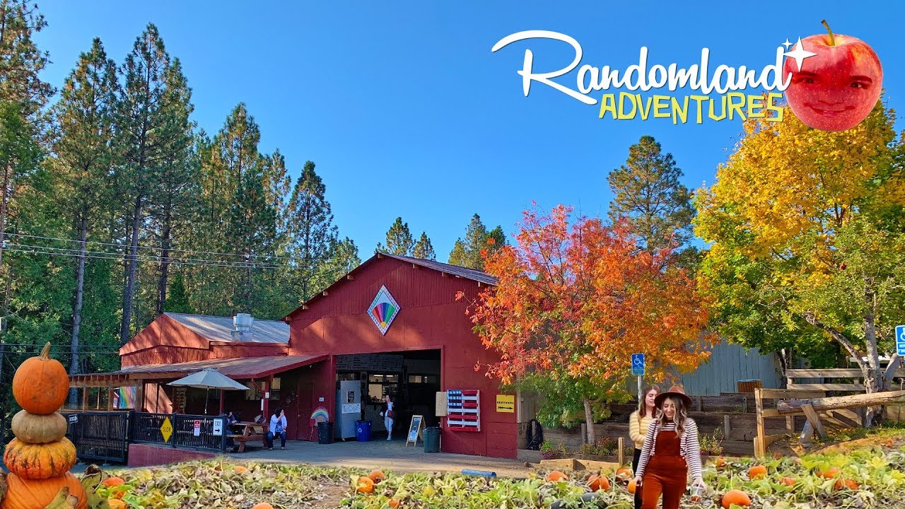 Apple Hill, Bishop's Pumpkin Farm, & Rattlesnake Meat!?