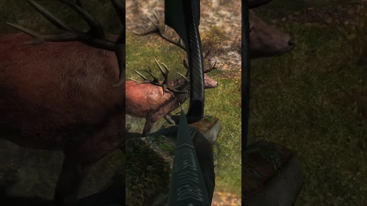 271 Red Deer with RECURVE | theHunter Classic