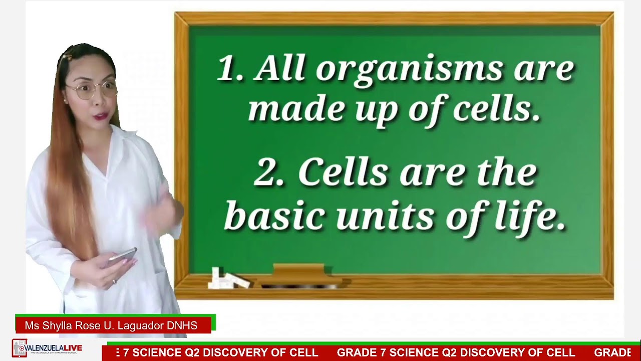 GRADE 7 SCIENCE Q2 DISCOVERY OF CELL