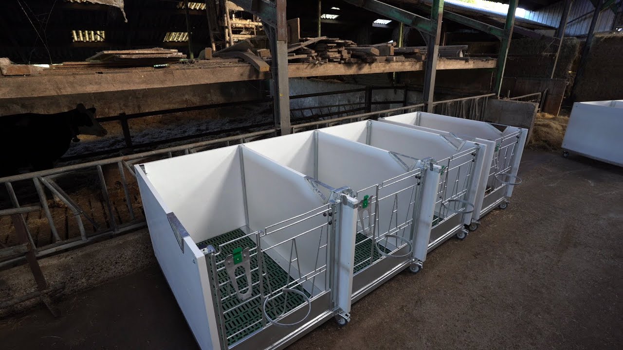CalfOTel Open Top Premium