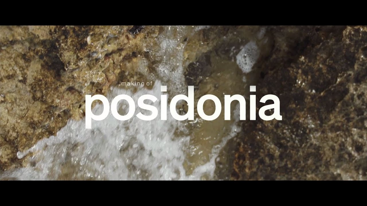 Making of POSIDONIA by Elena Salmistraro | Circle of Harmony - Live the transition