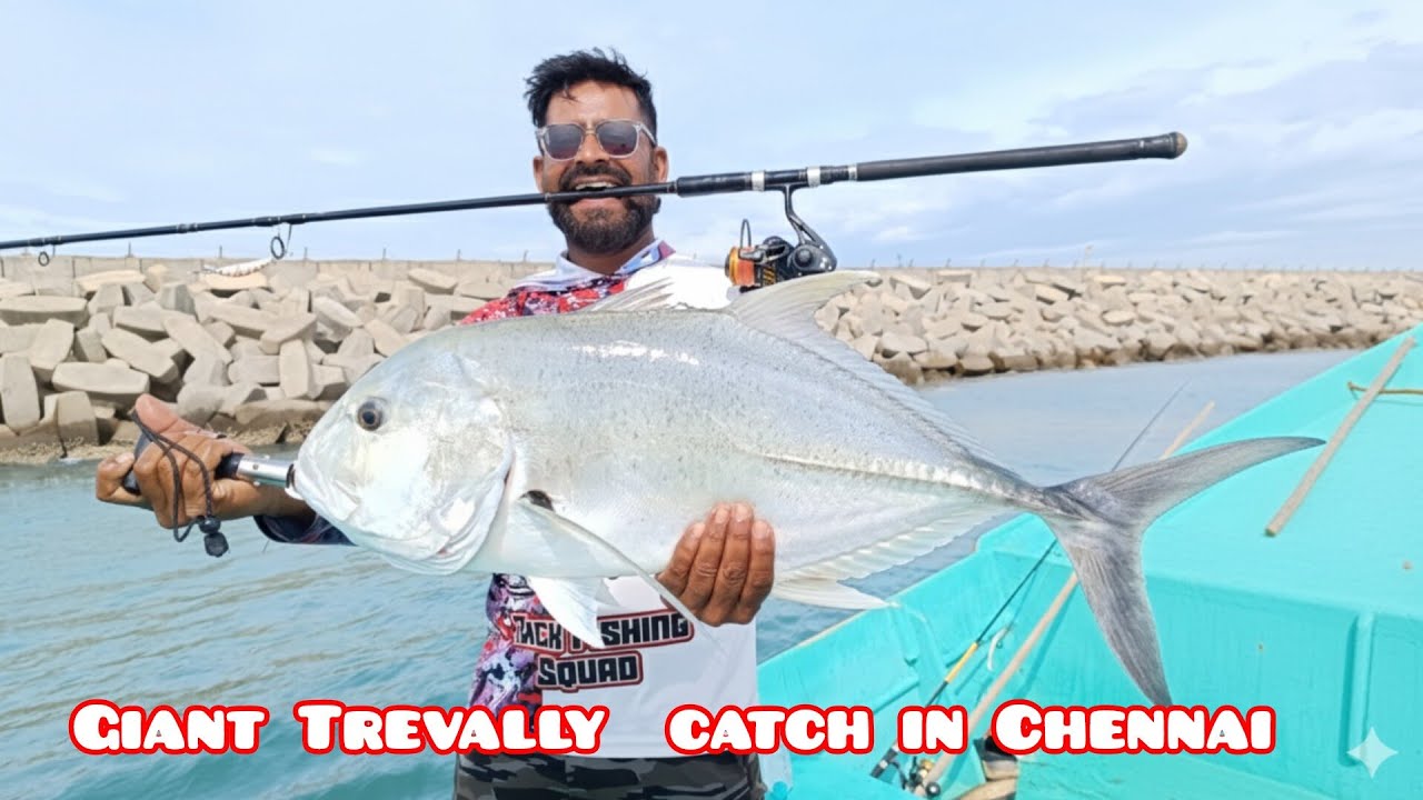 Giant Trevally Fishing In Chennai 🎣#gtfishing #tamilfishing #fishingtips #rodandreel #fishing 