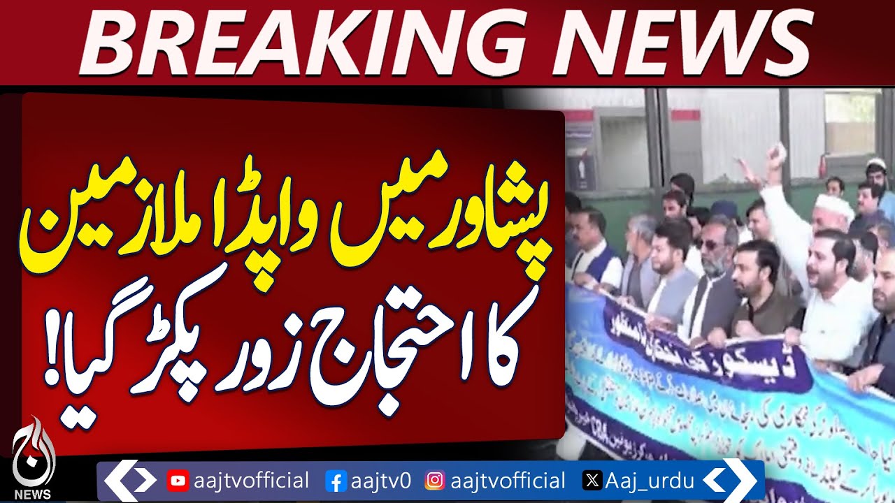 WAPDA Hydropower Workers Protest Against Privatization Plans - Pakistan news