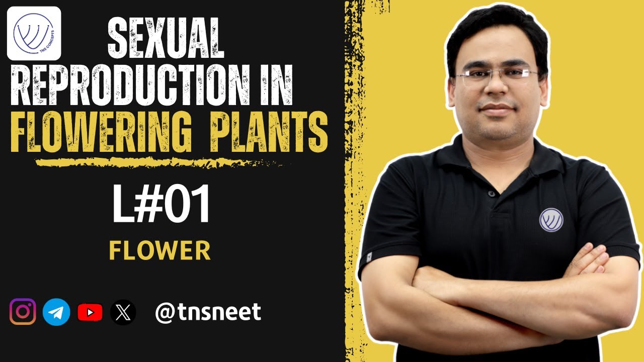 Sexual Reproduction In Flowering Plants | L-01 FLOWER A FASCINATING ORGAN OF ANGIOSPERMS | TNS NEET