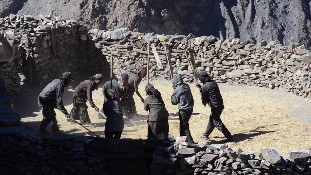 DOLPO 2013 a Sangda
