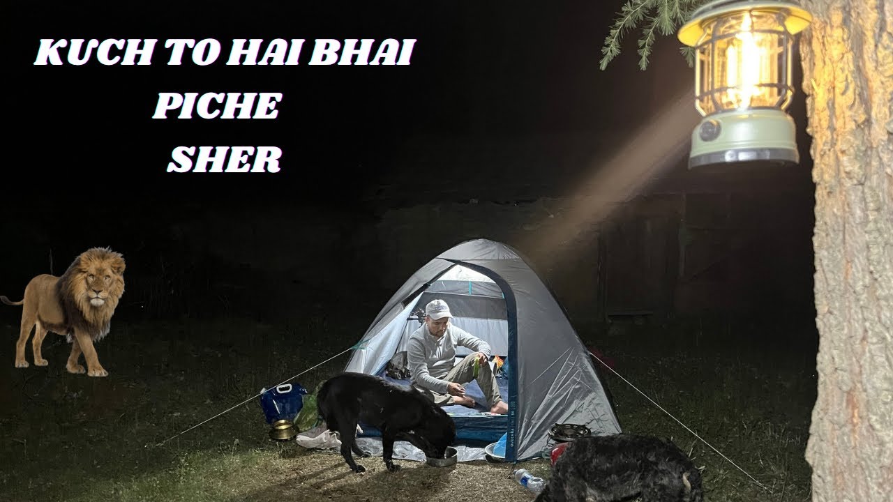 CAMPING IN HIMACHAL PRADESH || CAMPING IN INDIA || OVERNIGHT CAMPING || ASMR