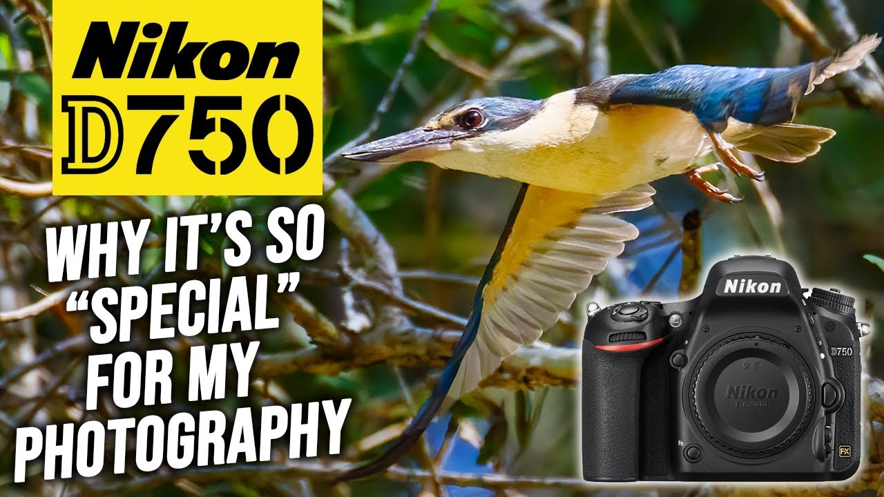 ПОЧЕМУ Nikon D750 так хорош для моей фотографии