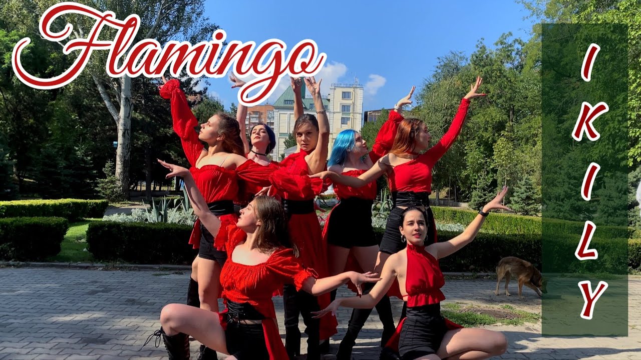 BOTOPASS (보토패스) - Flamingo cover by IKILY