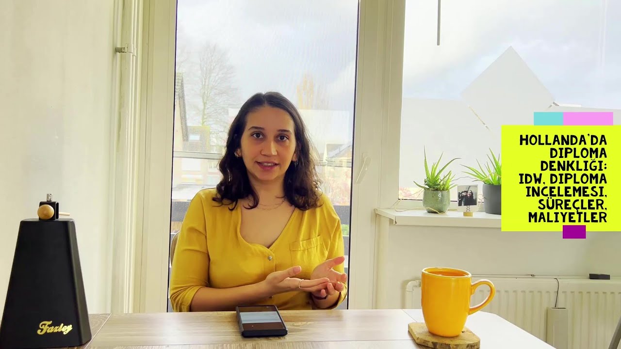 Hollanda'da diploma denkliği: IDW, diploma incelemesi, süreçler, maliyetler