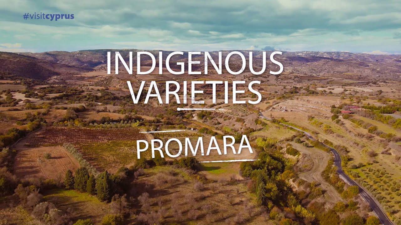 Promara  (Indigenous varieties of Cyprus)