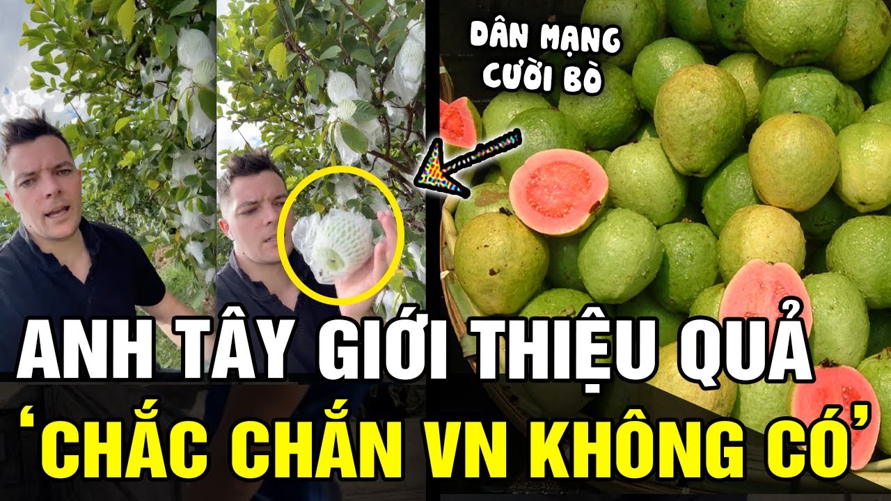 Khách Tây giới thiệu loại quả 'CHẮC CHẮN VIỆT NAM KHÔNG CÓ' nhưng sự thật BẼ BÀNG | Tin nhanh 24h