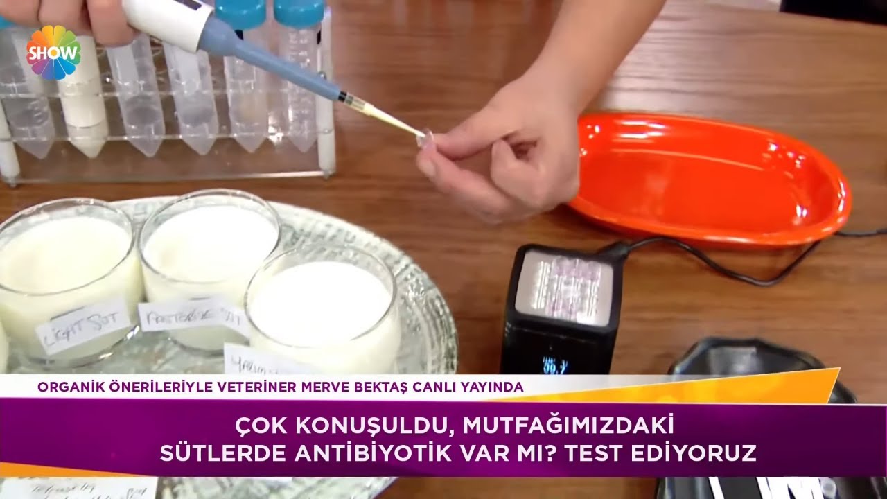 Sütte antibiyotik testi